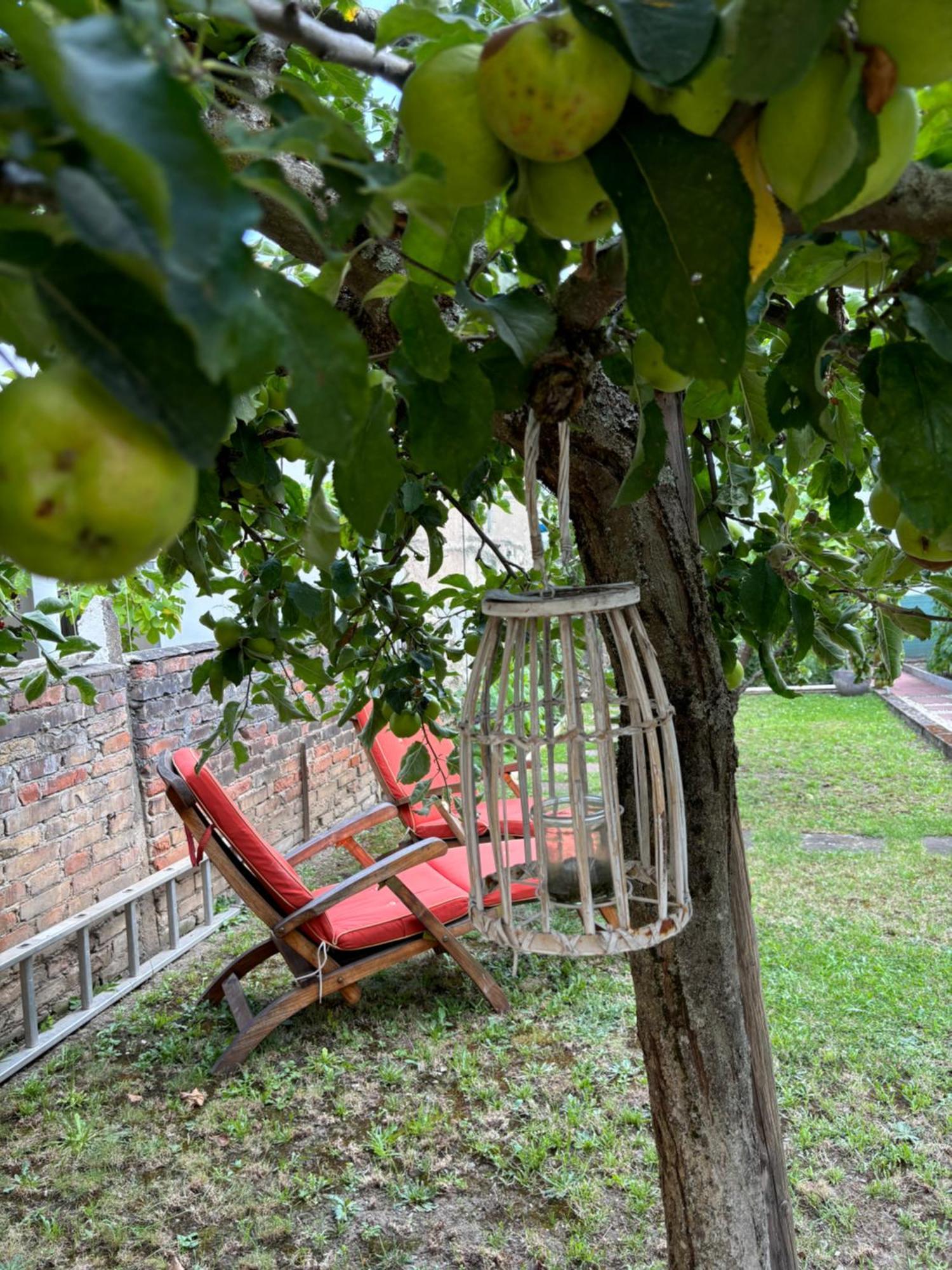 Haus Rheinleben Διαμέρισμα Boppard Εξωτερικό φωτογραφία